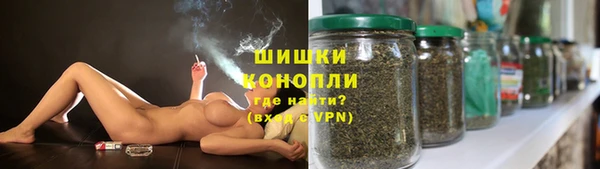 2c-b Вяземский