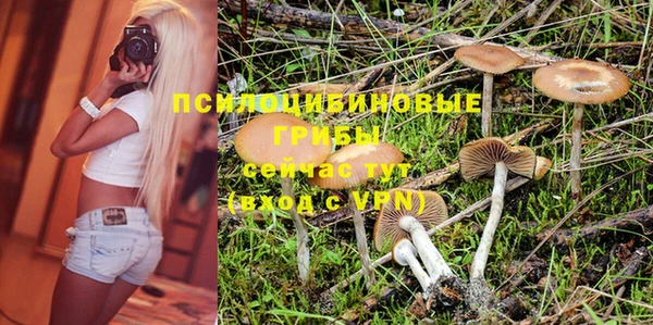 2c-b Вяземский
